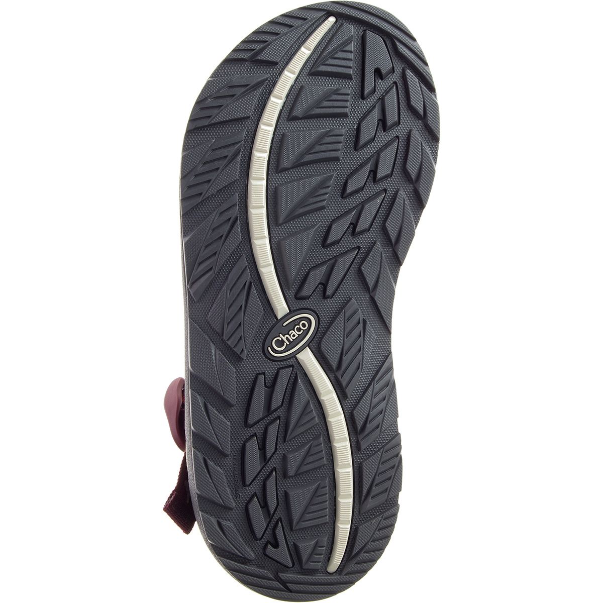 Chaco E-Dye Tegu Sandal - Men display picture 2