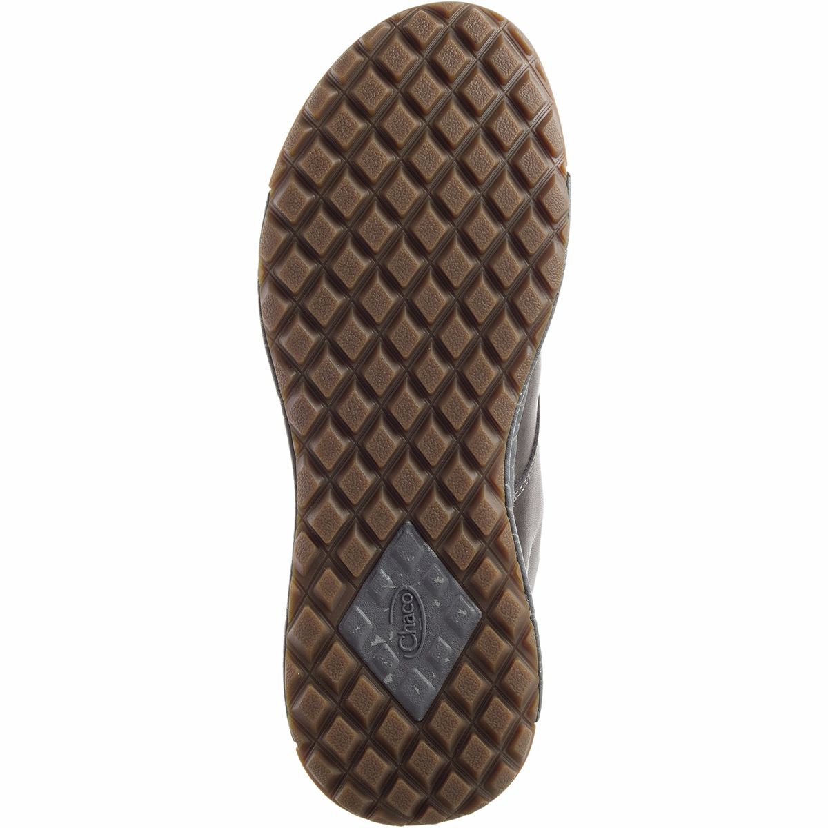 Chaco borealis tall online