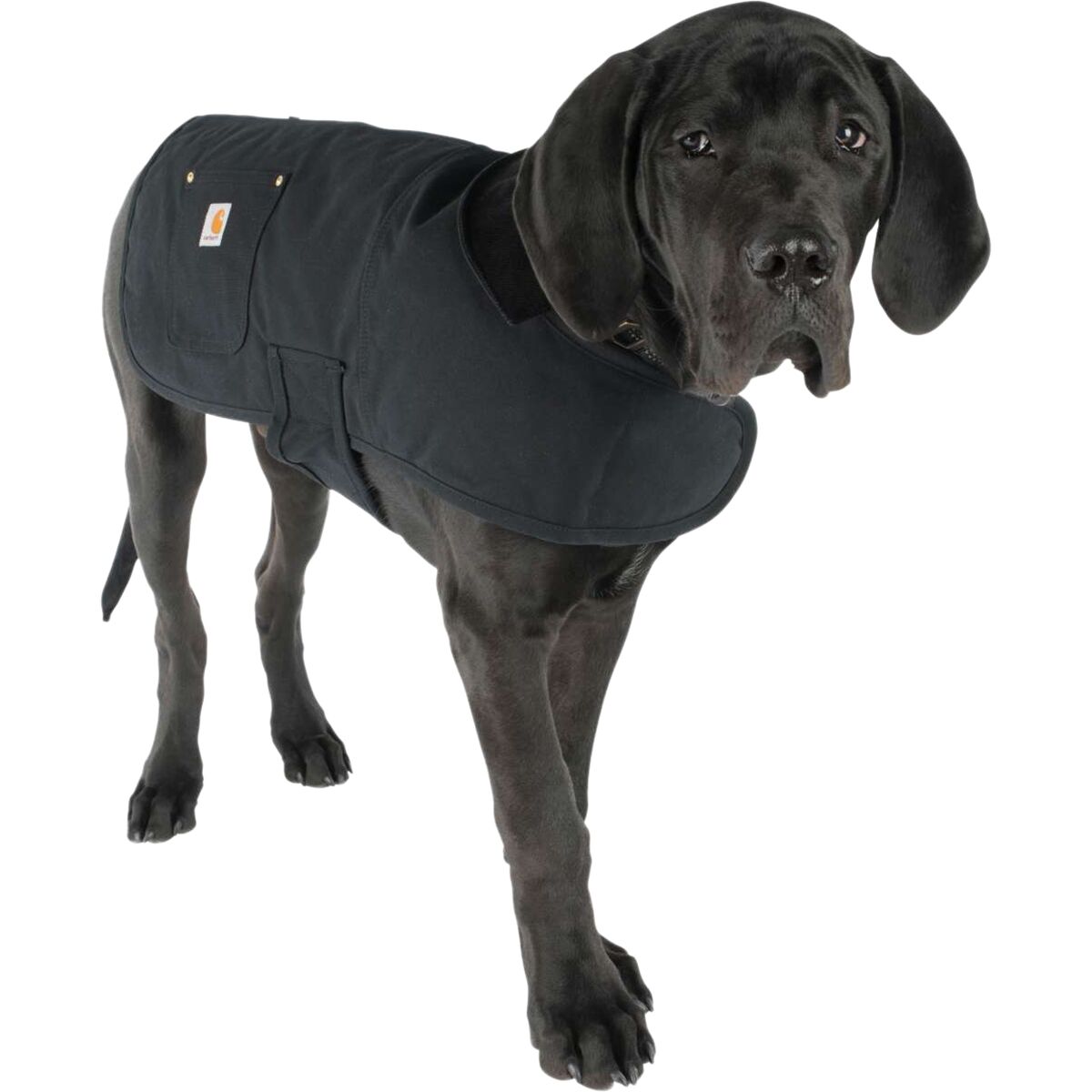Carhartt Firm Duck Insulated Dog Chore Coat
