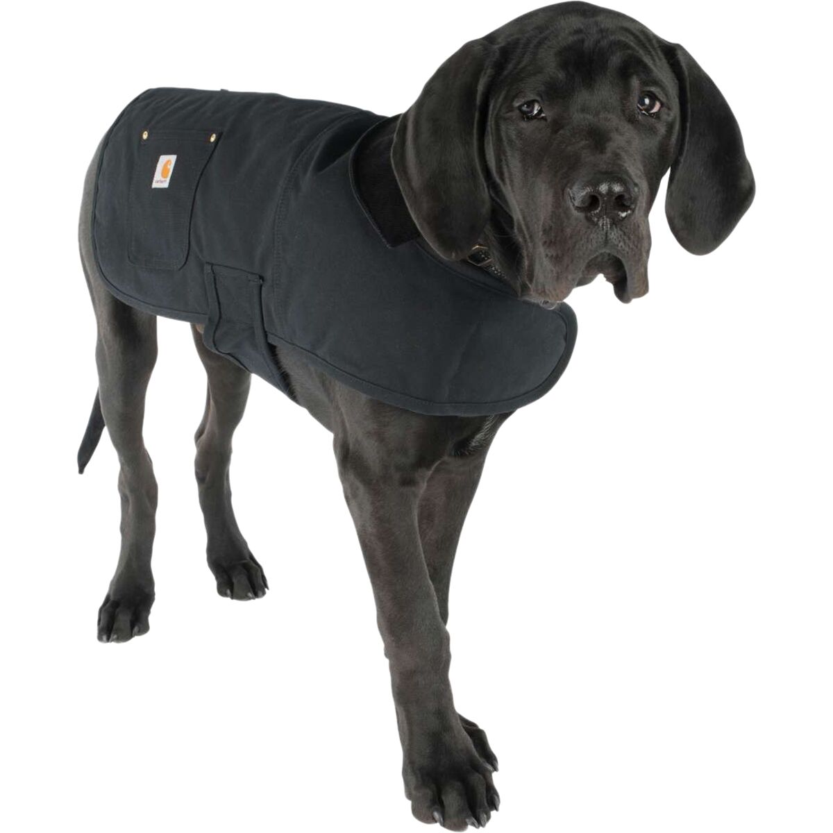 Carhartt Firm Duck Insulated Dog Chore 