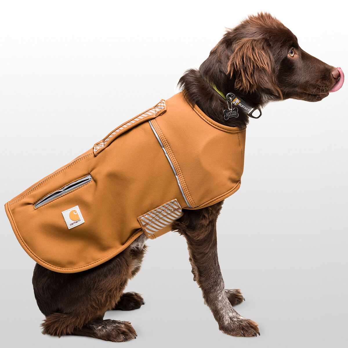 Carhartt Quick Duck Fleece-Lined Dog Jacket - Hike & Camp