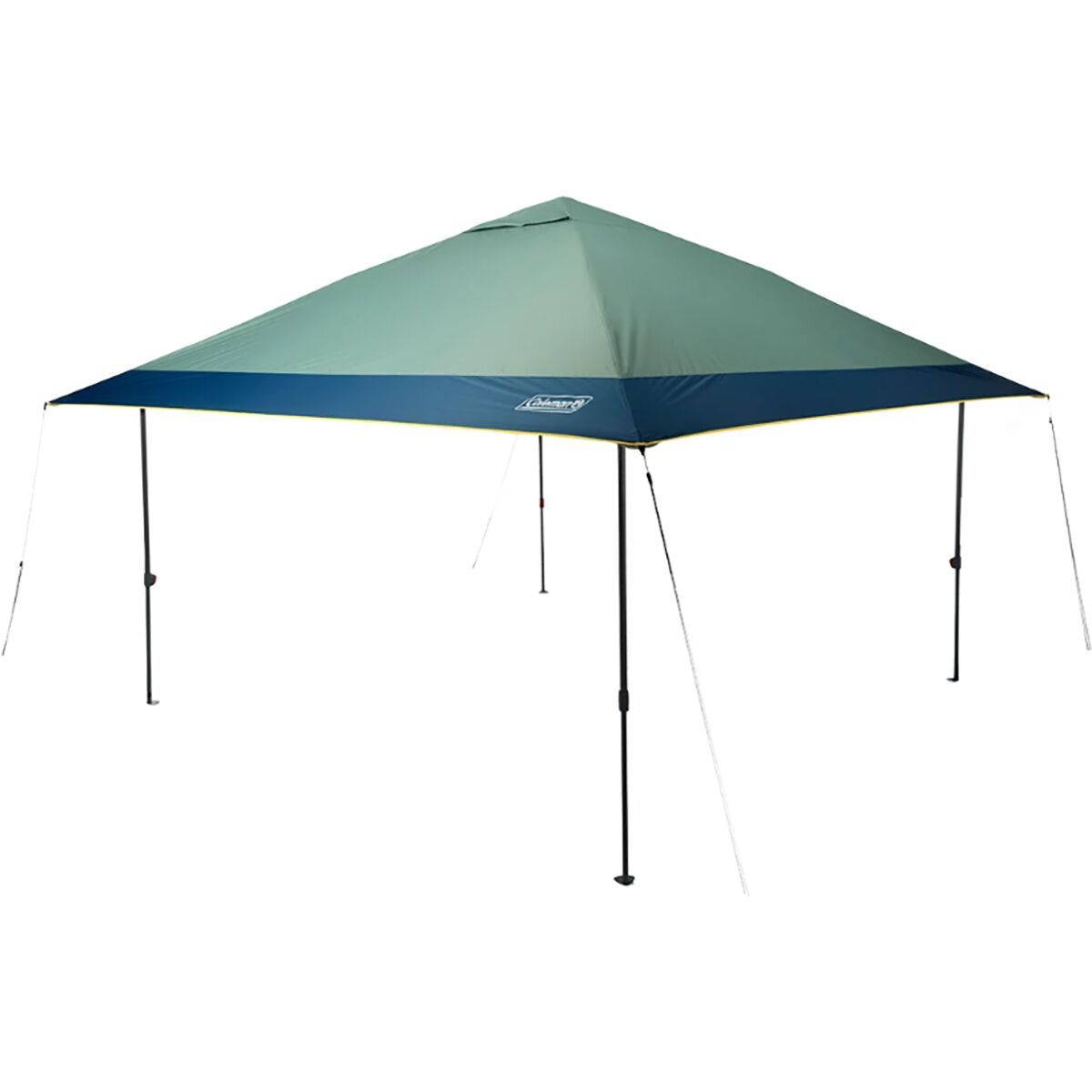 Coleman Oasis 10 x 10 Canopy Hickory Moss, One Size