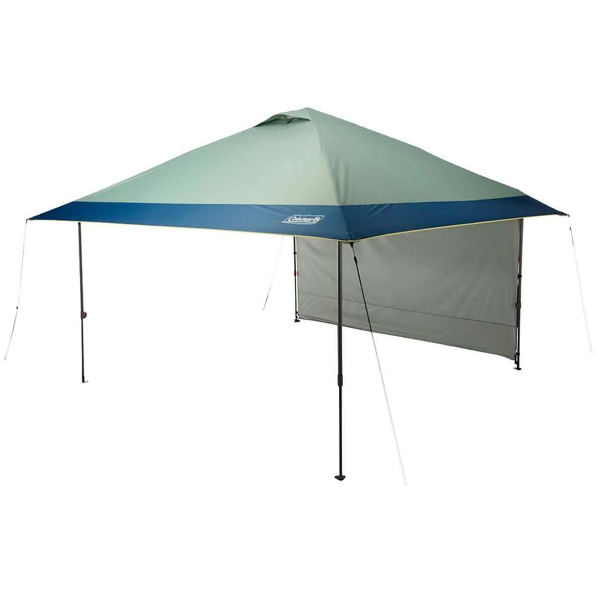 Coleman 10X10 Oasis Canopy + Sun Wall And Onepeak Hickory Moss, One Size