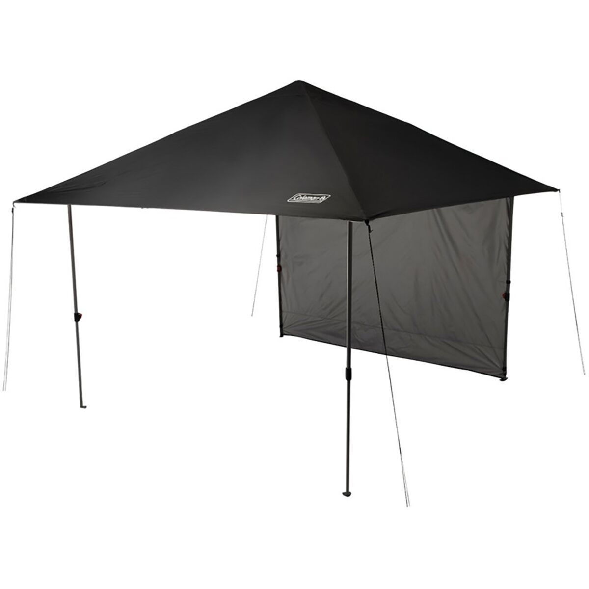 Coleman 10X10 Oasis Lite Canopy + Onepeak & Sun Wall