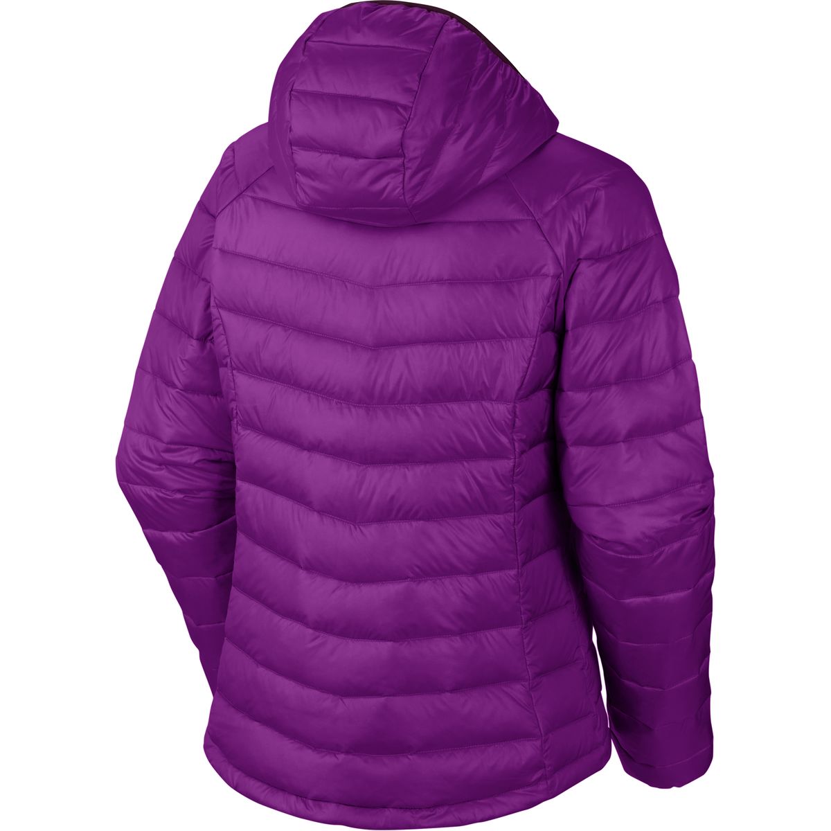 Columbia Platinum 860 Turbodown Hooded Jacket - Women's - Clothing