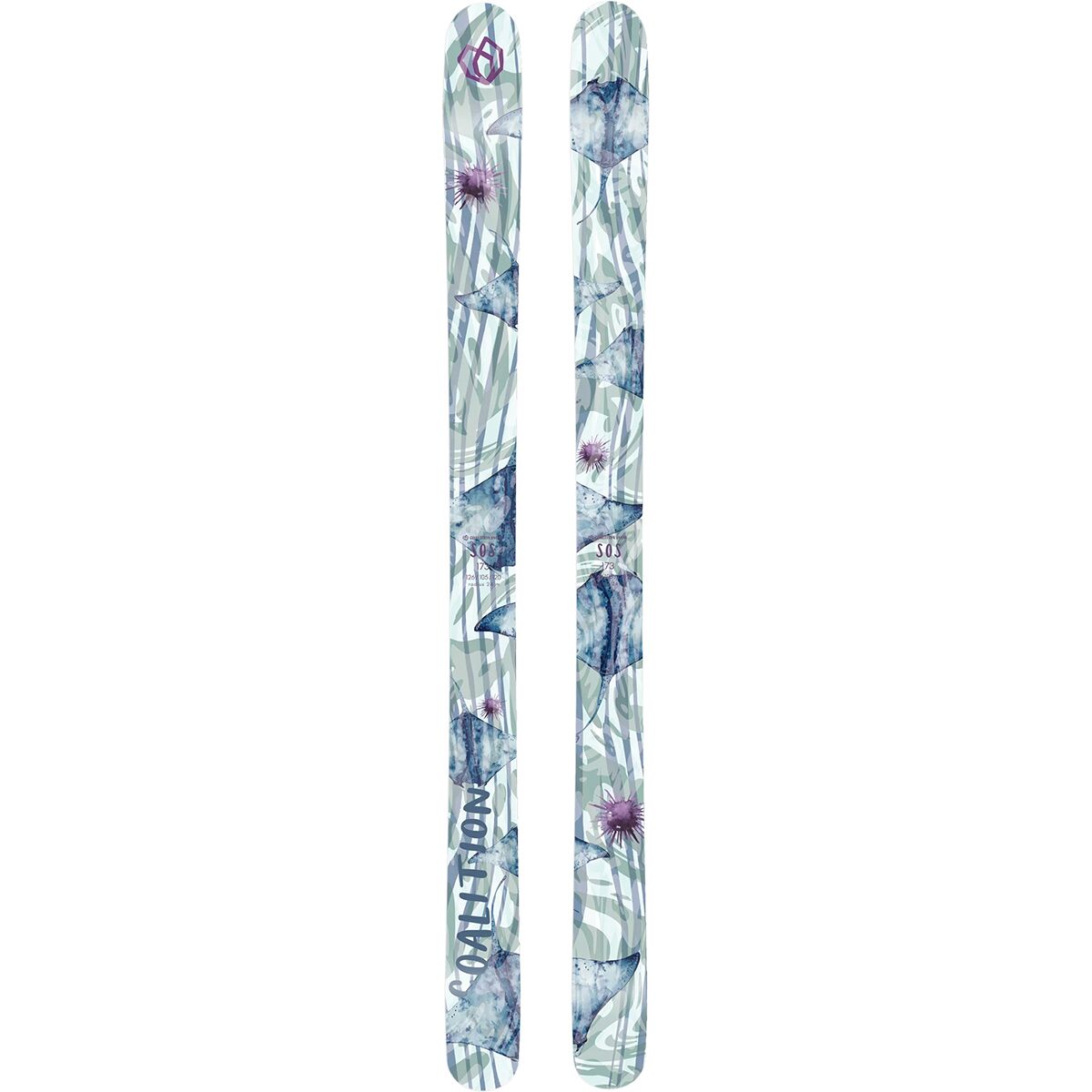 Coalition Snow Coalition Snow SOS Ski - 2025 - Women's Stings Like a B, 166cm