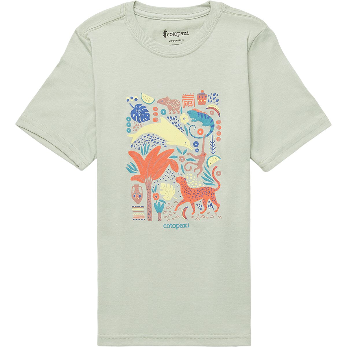 Cotopaxi Cotopaxi Ecuador Vibes Organic T-Shirt - Kids' Green Tea, S