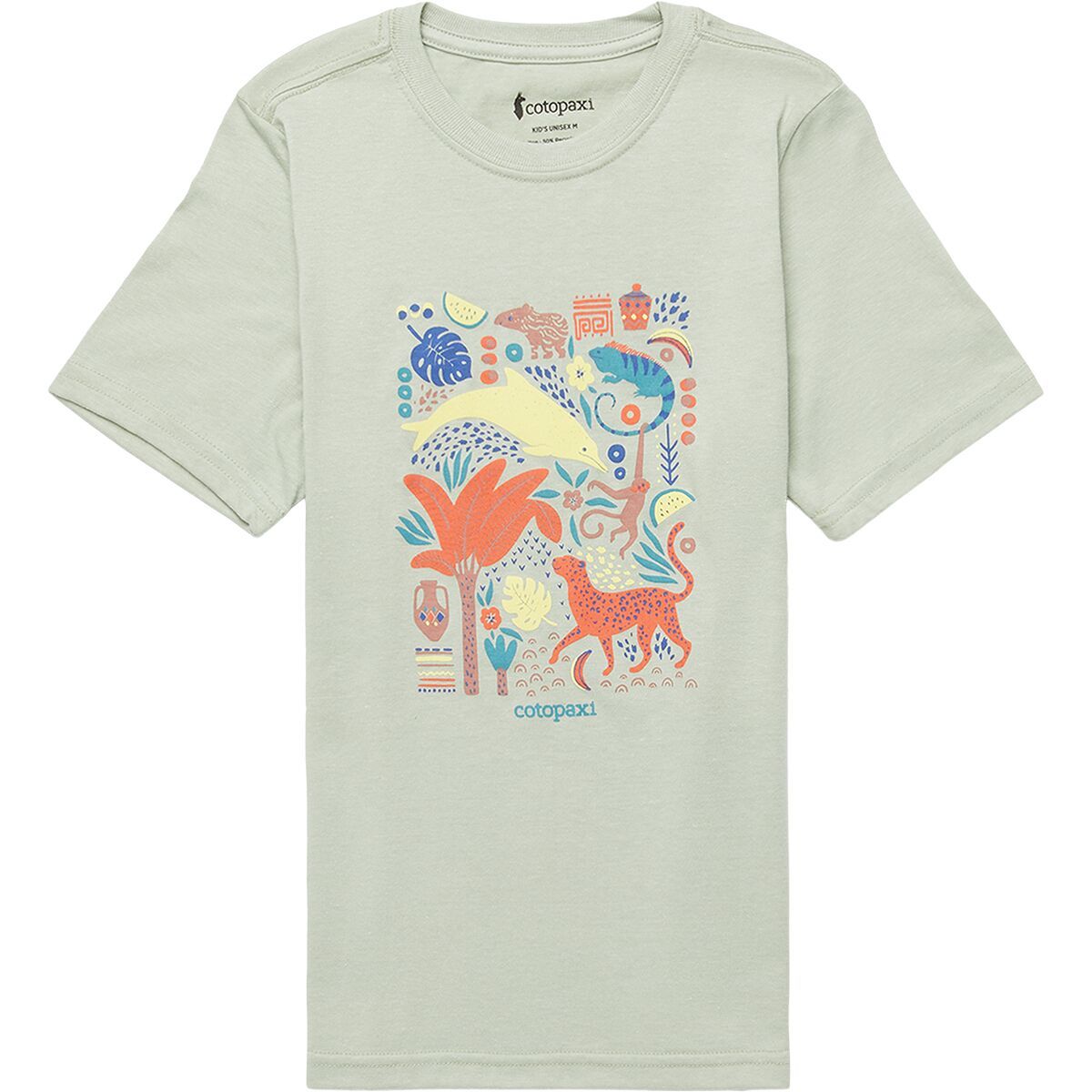 Cotopaxi Ecuador Vibes Organic T-Shirt - Kids' Green Tea, XL