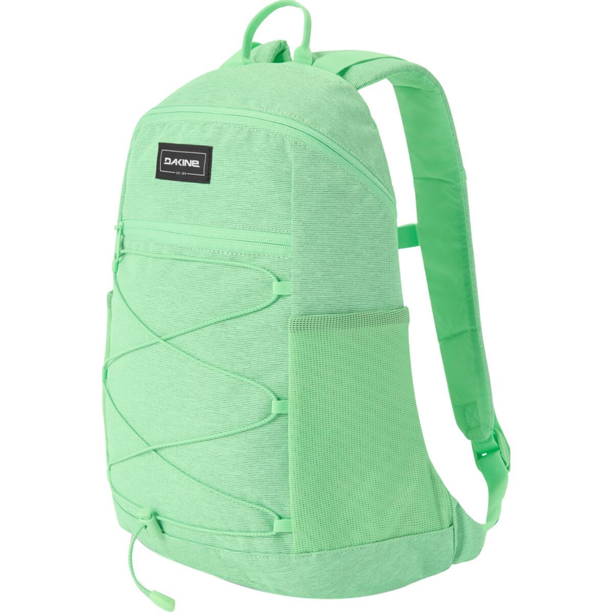 dakine backpack green