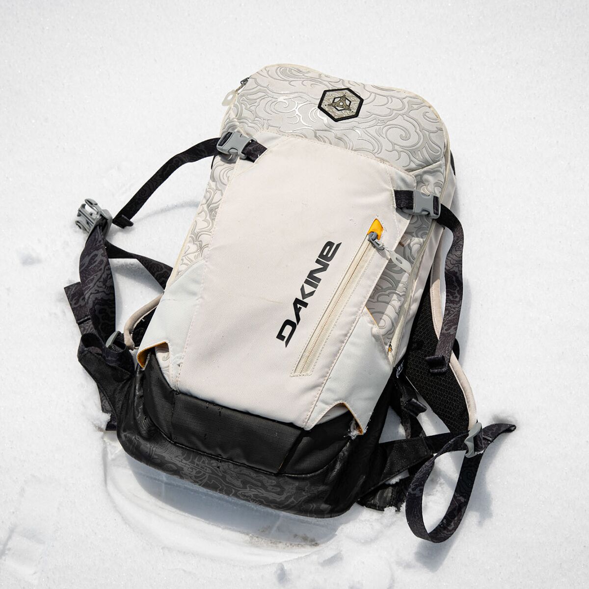Dakine team heli online 12l backpack