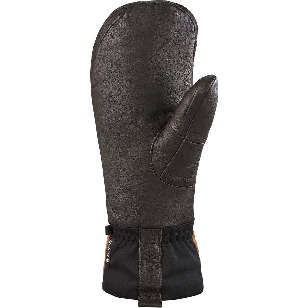 DAKINE Baron Gore-Tex Index Mitten - Men's - Accessories