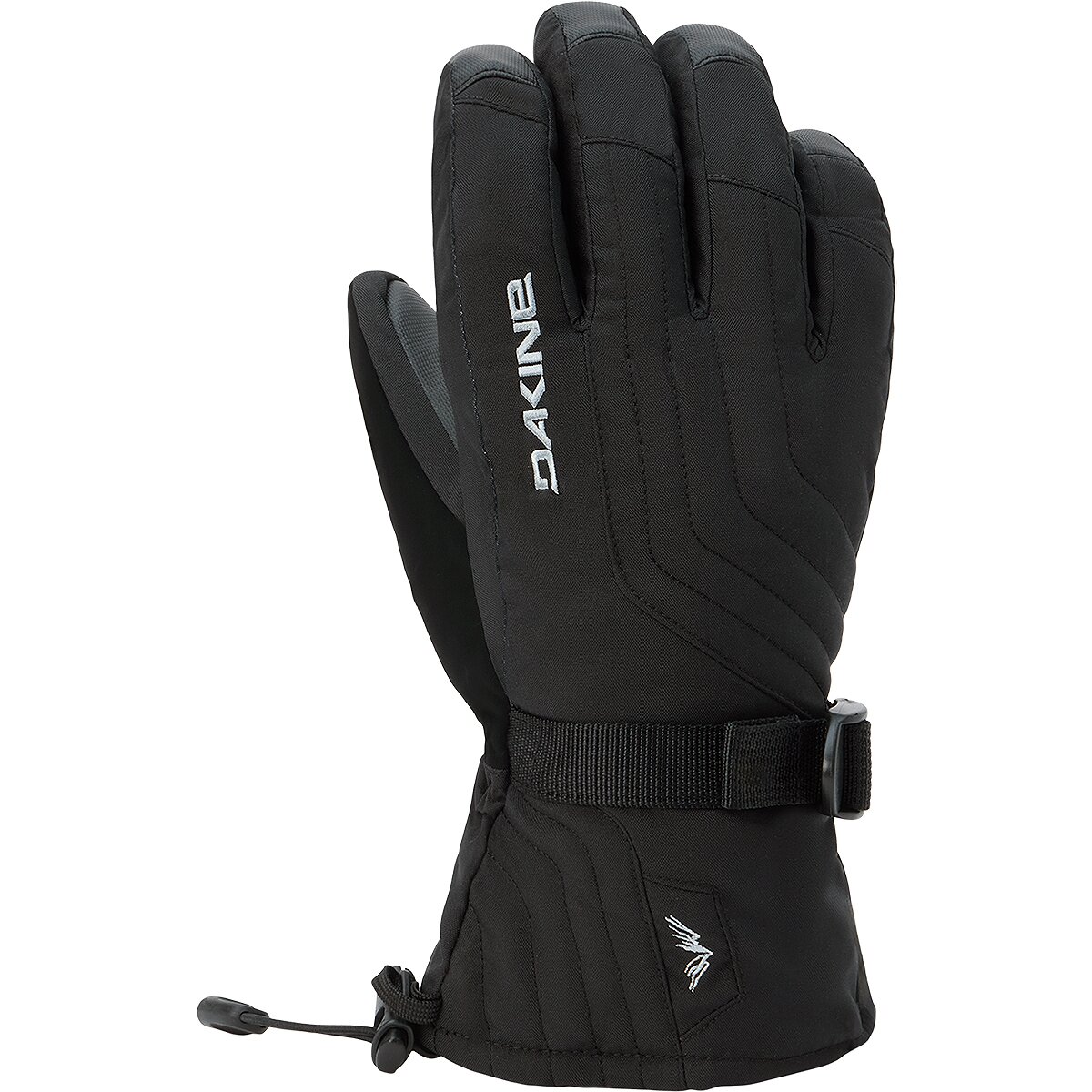 Image of DAKINE Camino 2.0 Glove - Women's Black, L