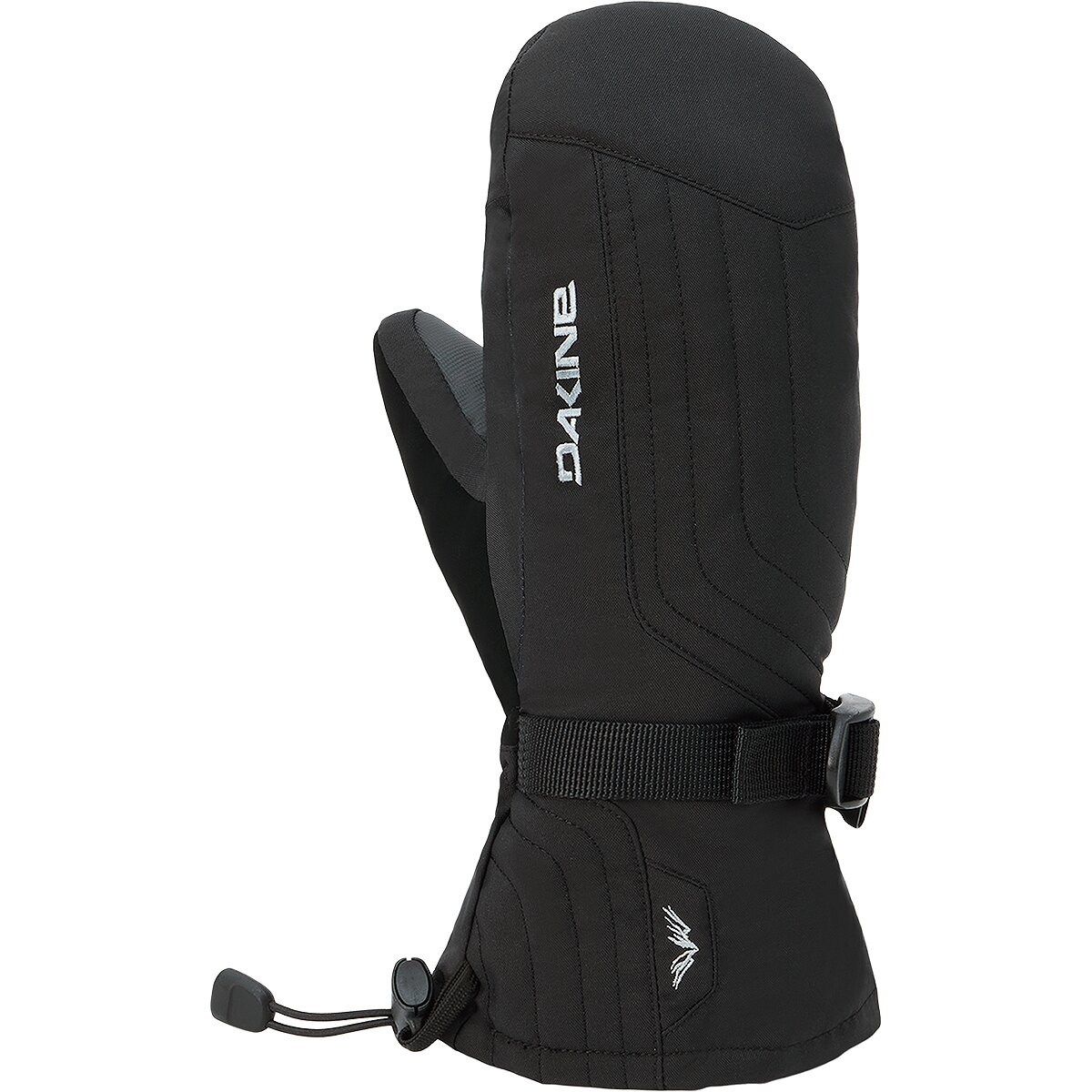 Image of DAKINE Camino 2.0 Mitten - Women's Black, S
