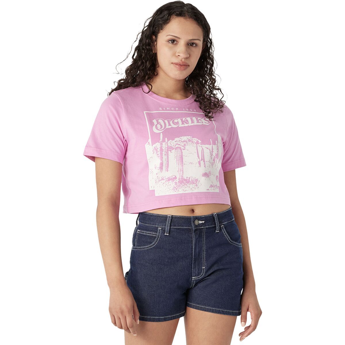 Dickies Boyfriend Desert Graphic Short-Sleeve T-Shirt - Women's Wild Rose, XS