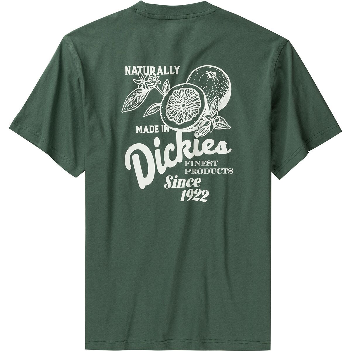 Dickies Raven T-Shirt - Men