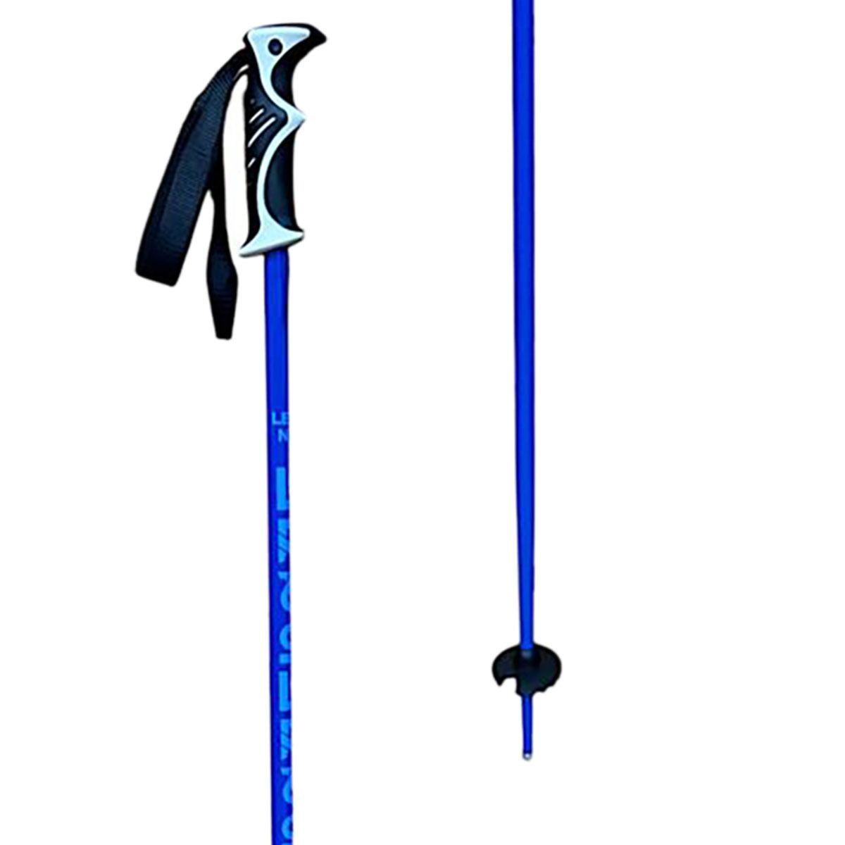 Defiance Ski Poles - 2025 Blue, 46in