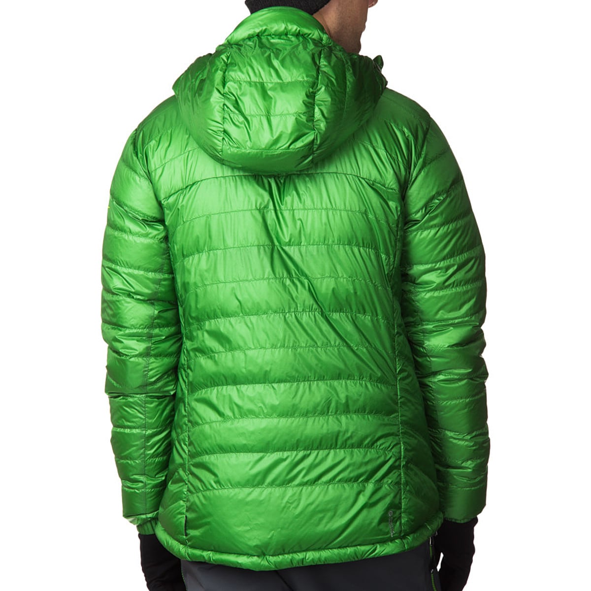 Dynafit Cho Oyu Hooded Down Jacket Men s Clothing