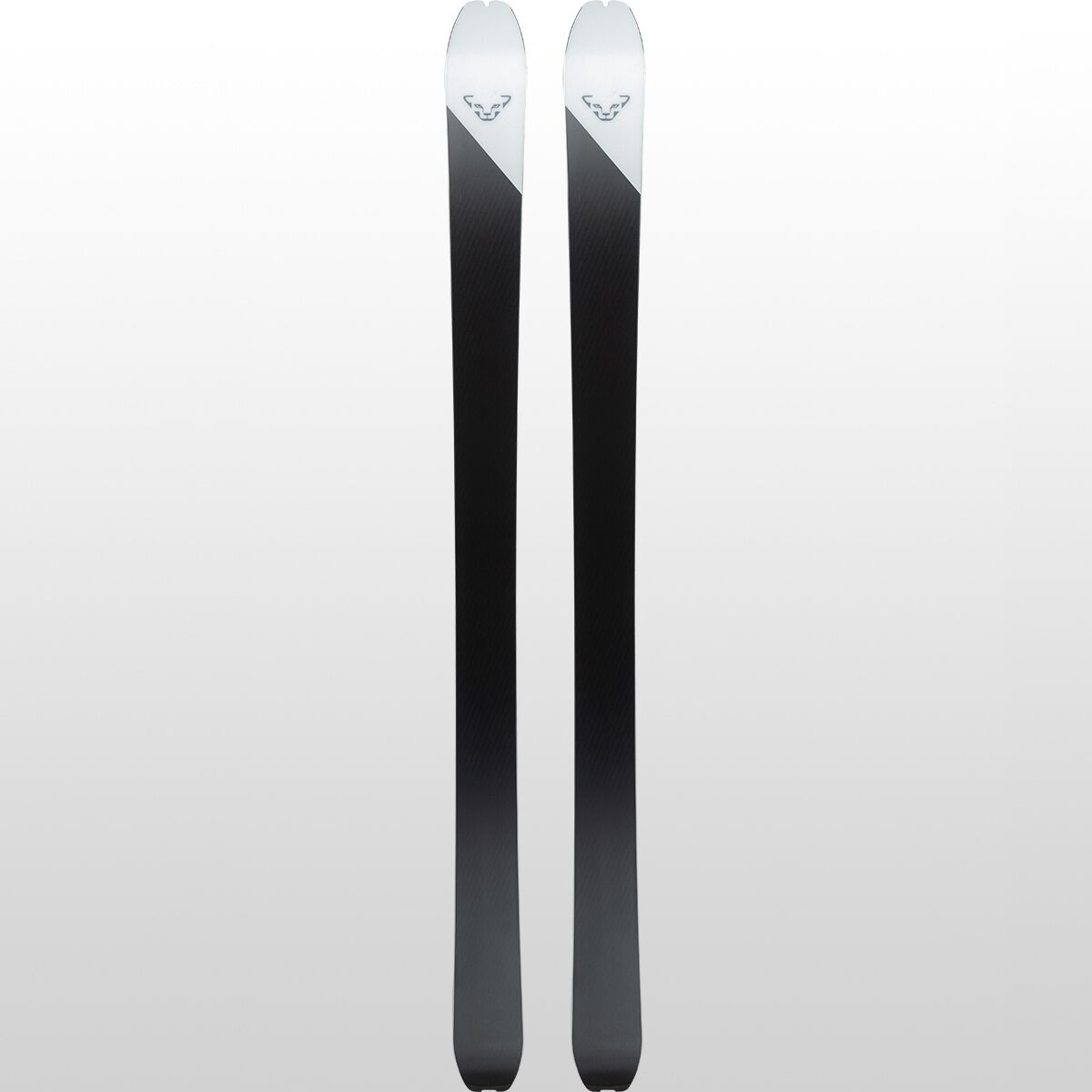 Dynafit Blacklight 95 Ski - 2024 - Ski