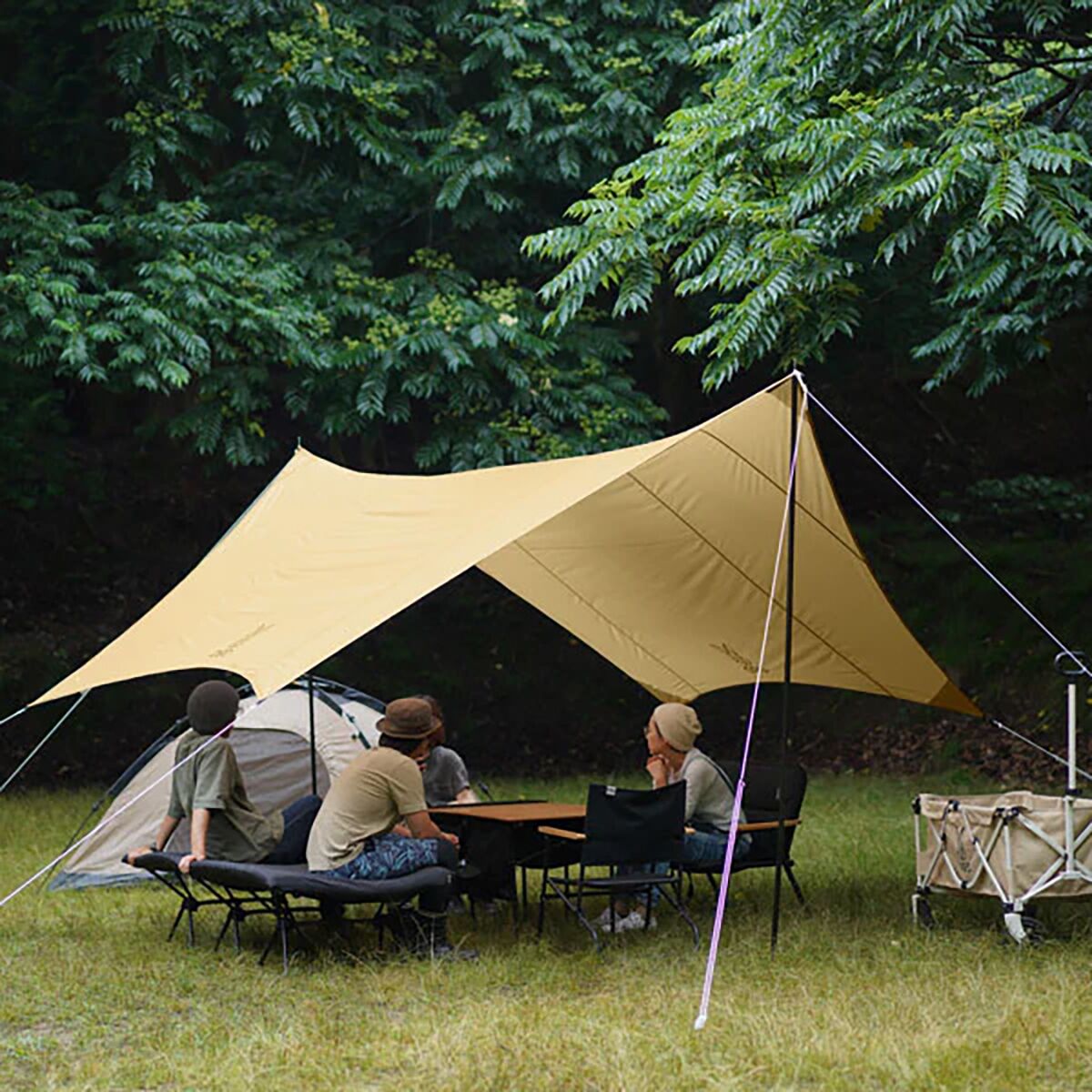 DOD Outdoors Itsuka Tarp + Poles - Hike & Camp