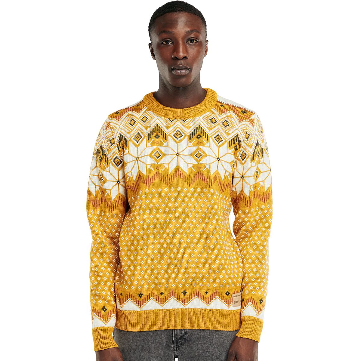 Dale of Norway Vegard Sweater - Men's product image