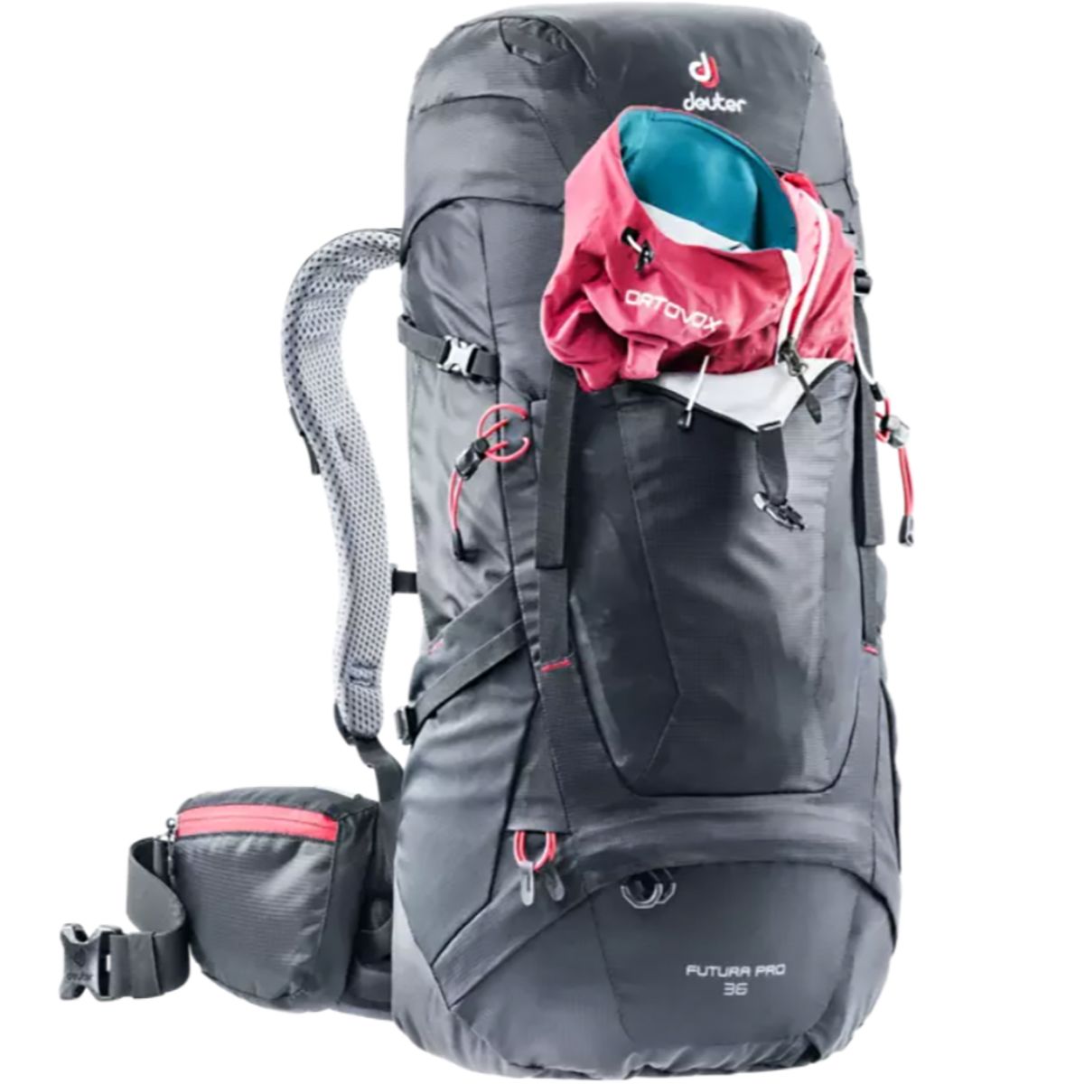 deuter futura pro 36 price