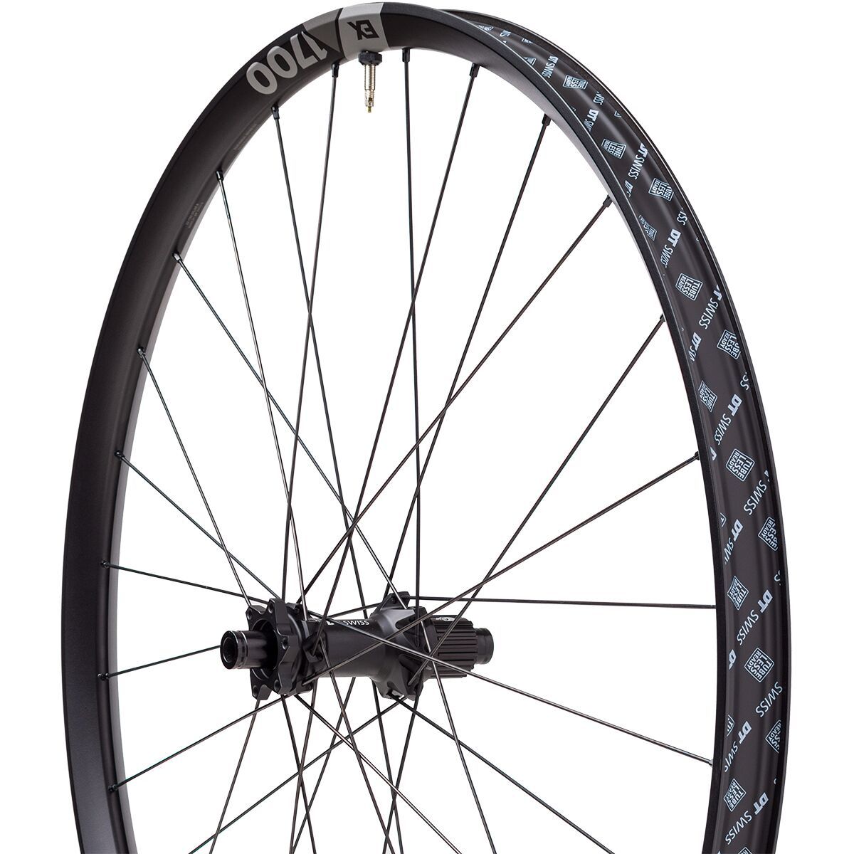 Image of DT Swiss EX 1700 Spline 29in Boost Wheel Black, Rear, Micro Spline, 12x148