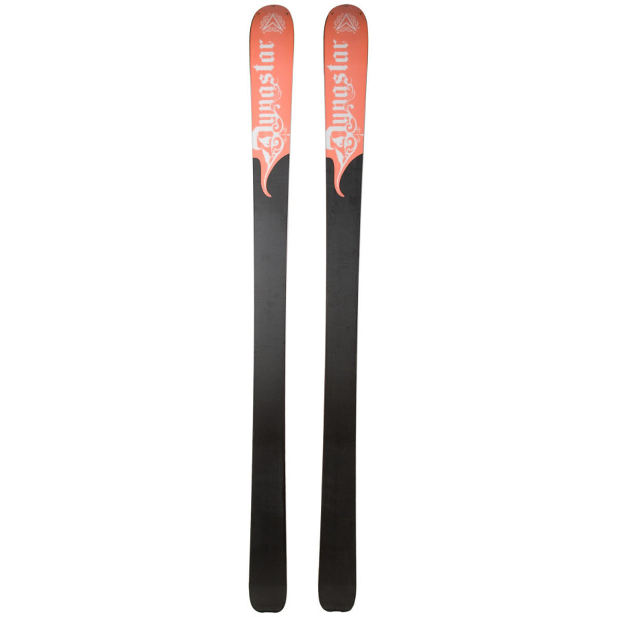 スキー Dynastar Legend Pro Rider 105 Skis 175cm Dynastar Legend Pro Rider Skis 2010 | evo