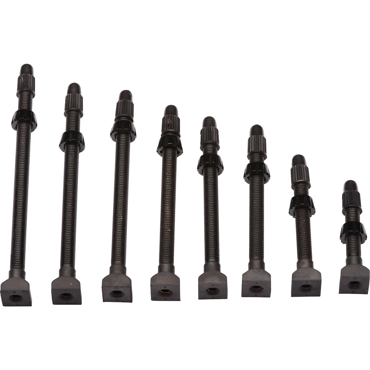 Image of ENVE Tubeless Valve Stem One Color, 61mm
