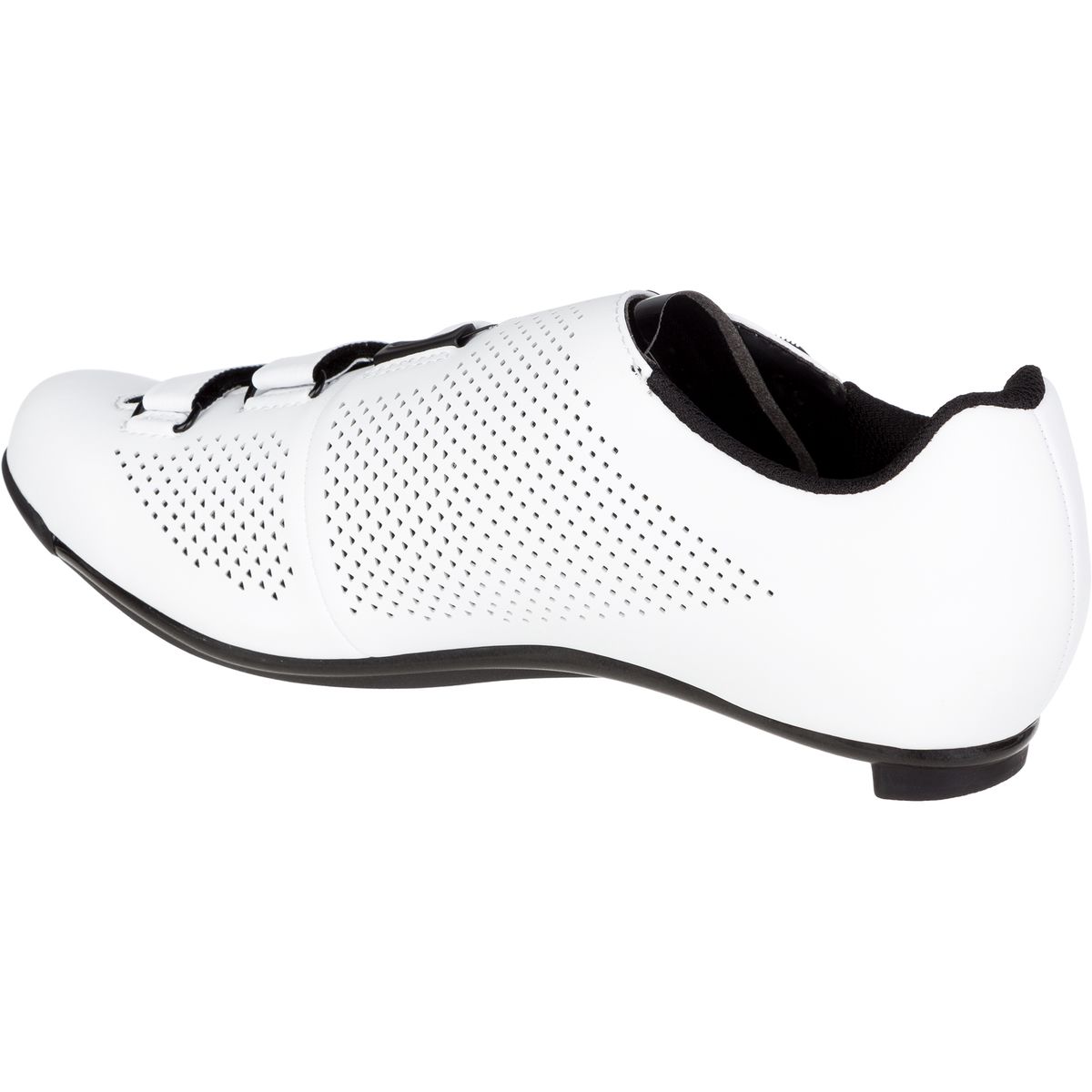 fizik r4 boa man