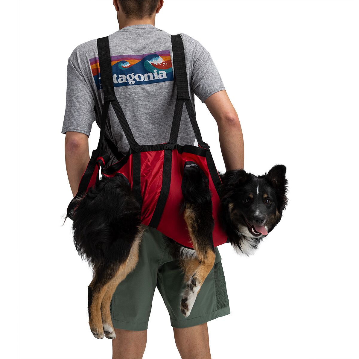 Image of Fido Pro Airlift Emergency Dog Rescue Sling Red, M