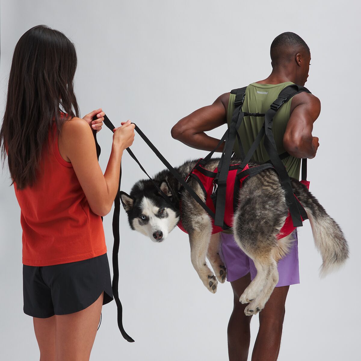 Rescue Harness For Dog Harness To Lift Dog Carrying Harness Dog
