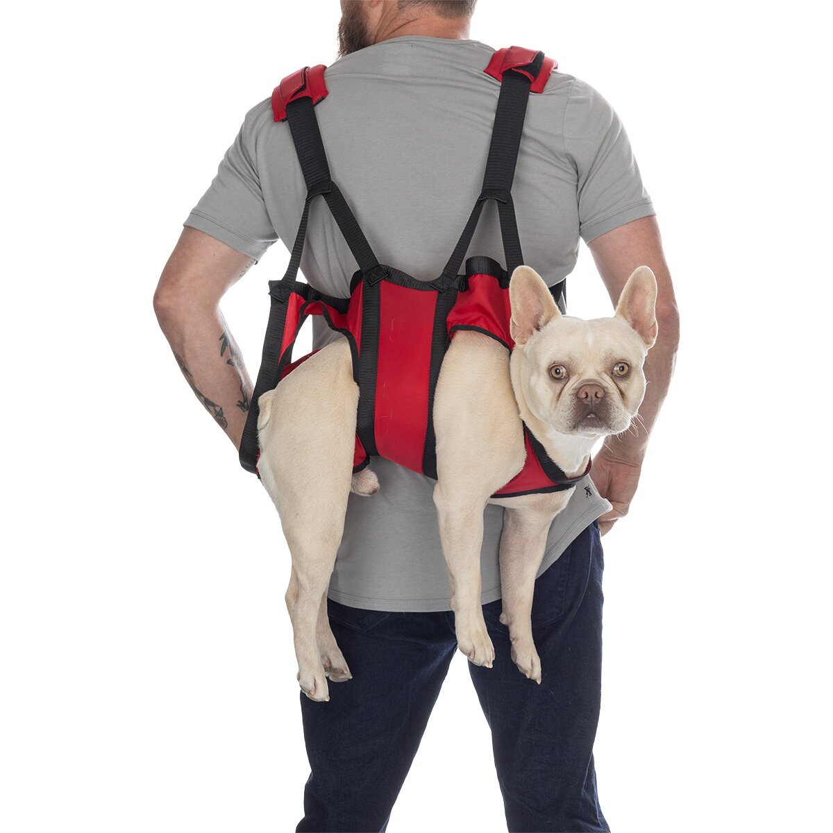 Image of Fido Pro Airlift Emergency Dog Rescue Sling Red, M