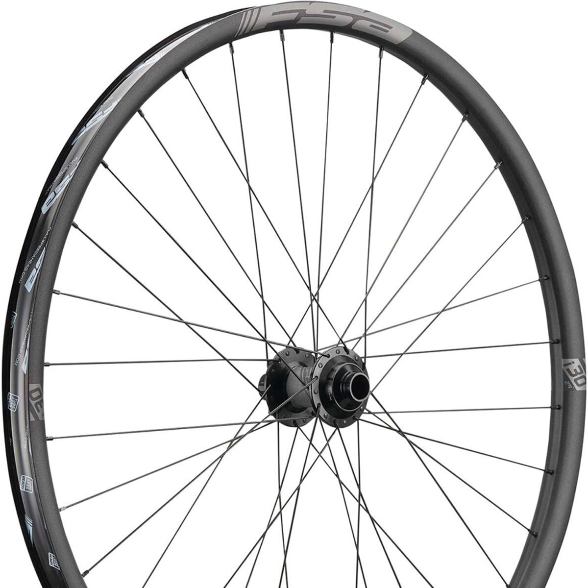 FSA FSA Gradient DH i30 29in Boost Wheelset Black, Microspline