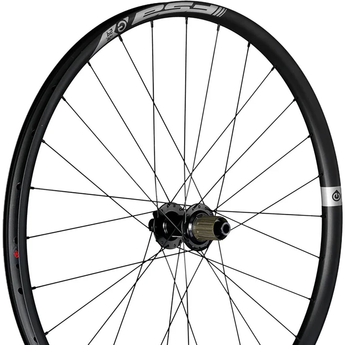 Image of FSA E-MTB Boost Alloy Wheel - 29in Front, 15x110mm