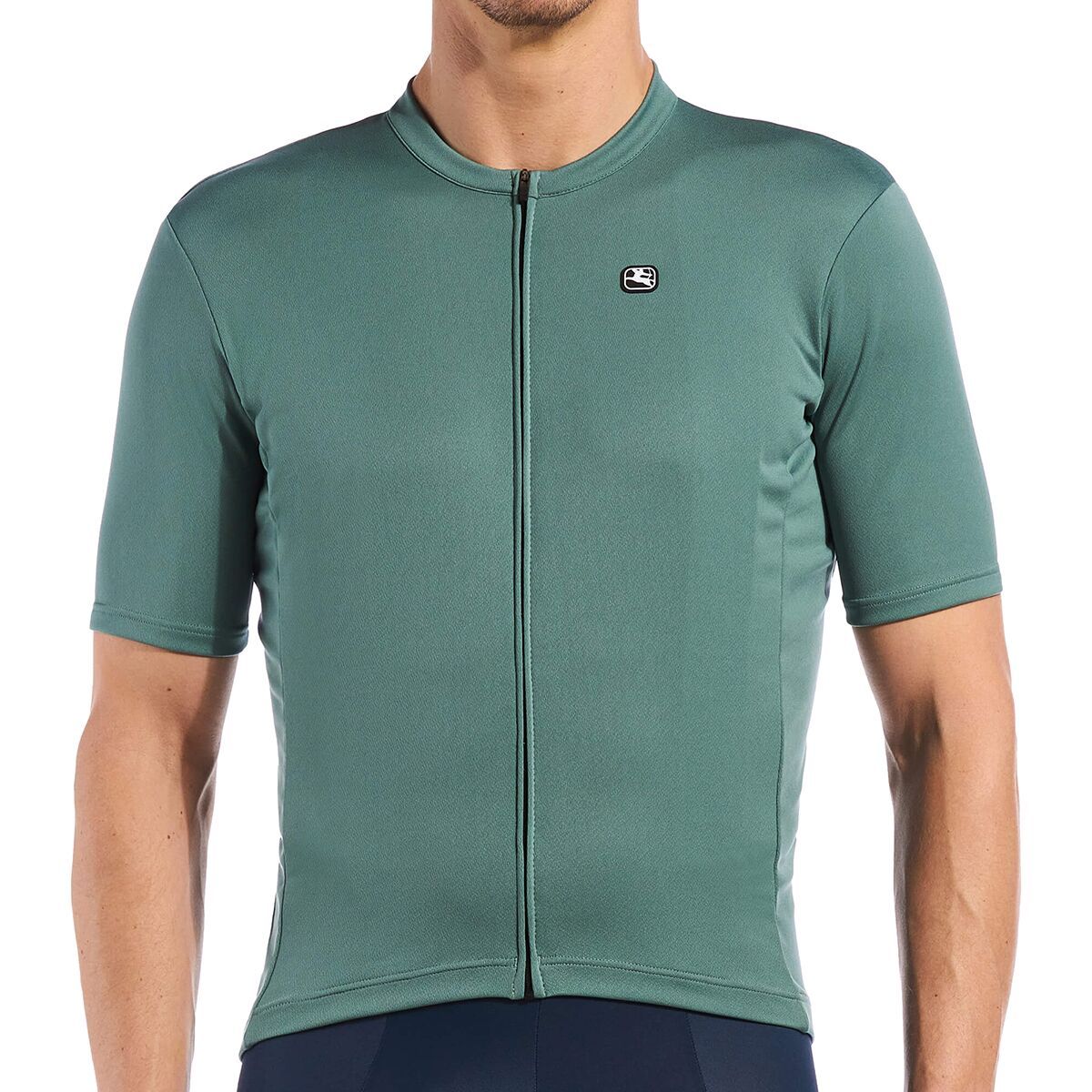 Image of Giordana Fusion Jersey - Men's Smokey Sage, M