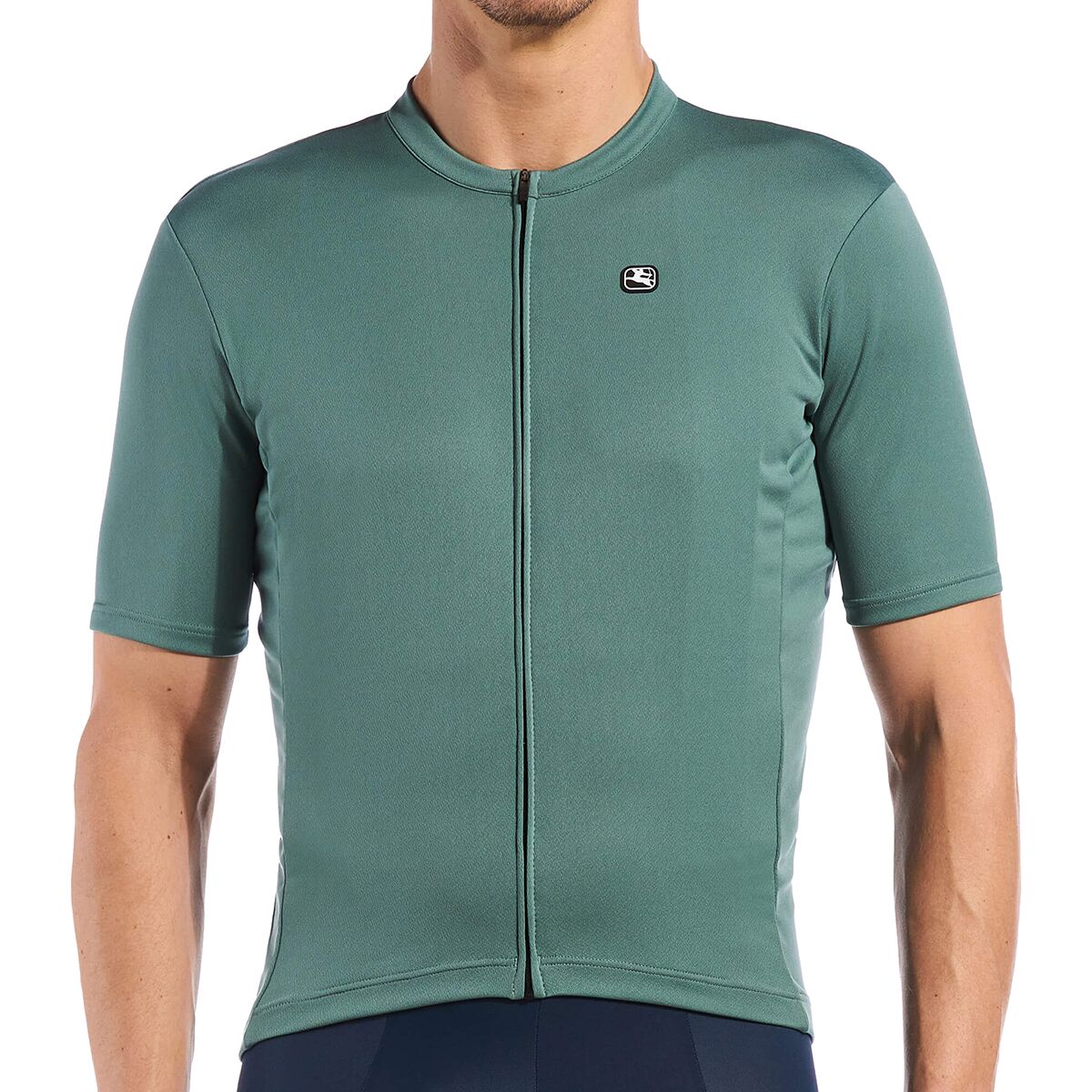 Image of Giordana Fusion Jersey - Men's Smokey Sage, 5XL