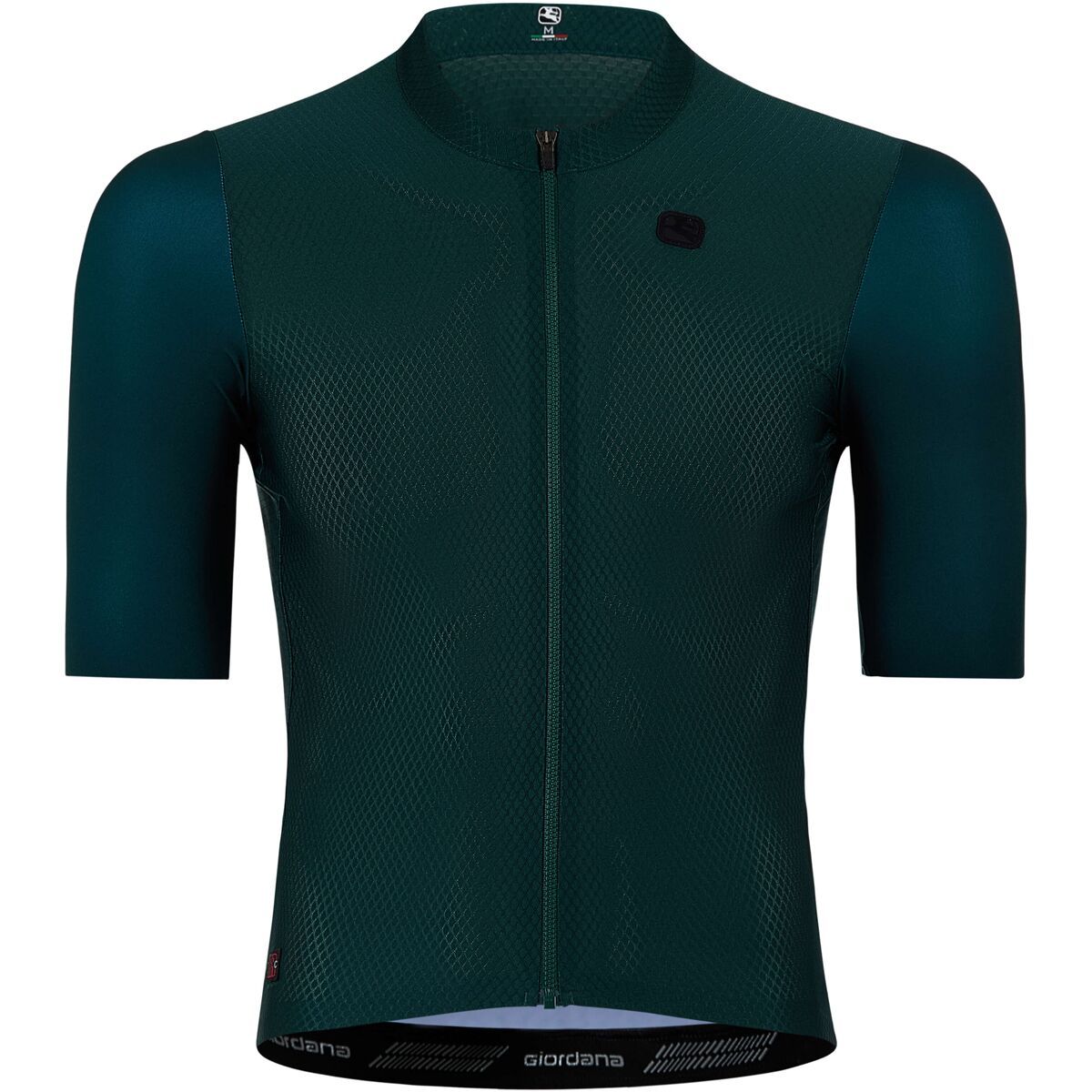 Image of Giordana FR-C Pro Short-Sleeve Jersey - Men's Sea Moss Green, XXL