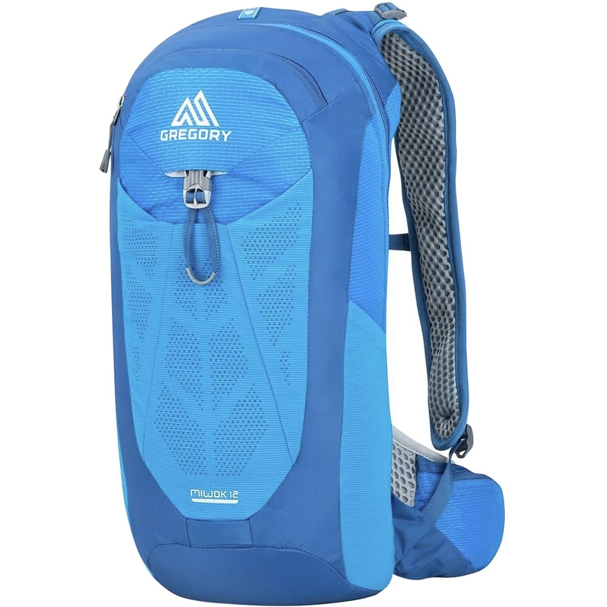 Gregory Miwok 12L Backpack product image