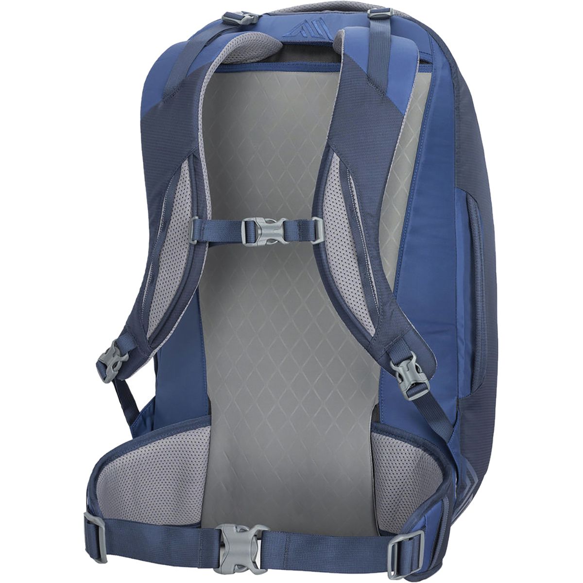 Gregory Praxus 45L Backpack - Travel