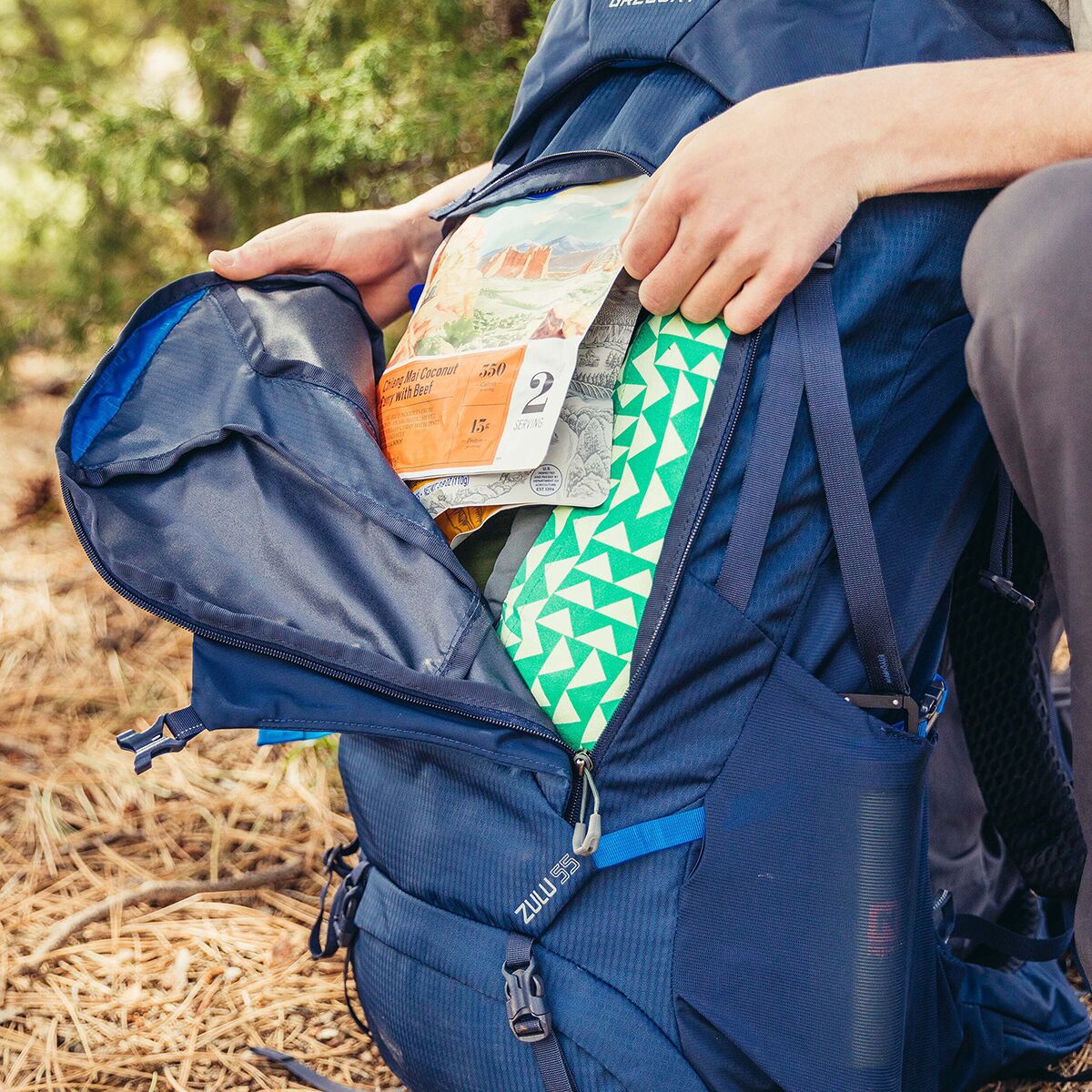 Gregory zulu 55l backpack online