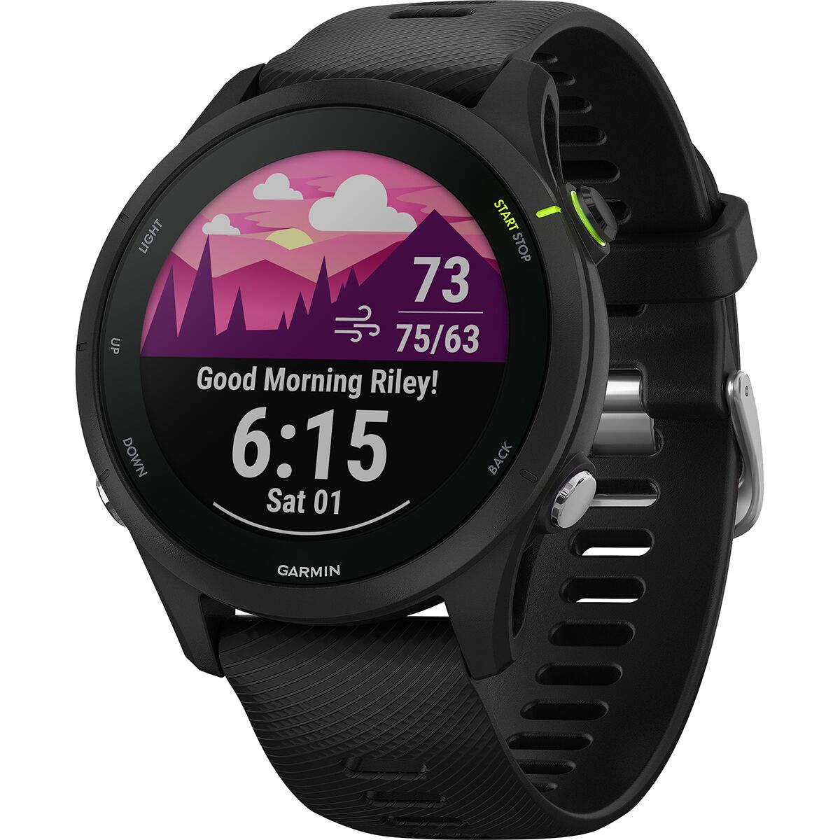 Garmin Forerunner 255 Music - Accessories