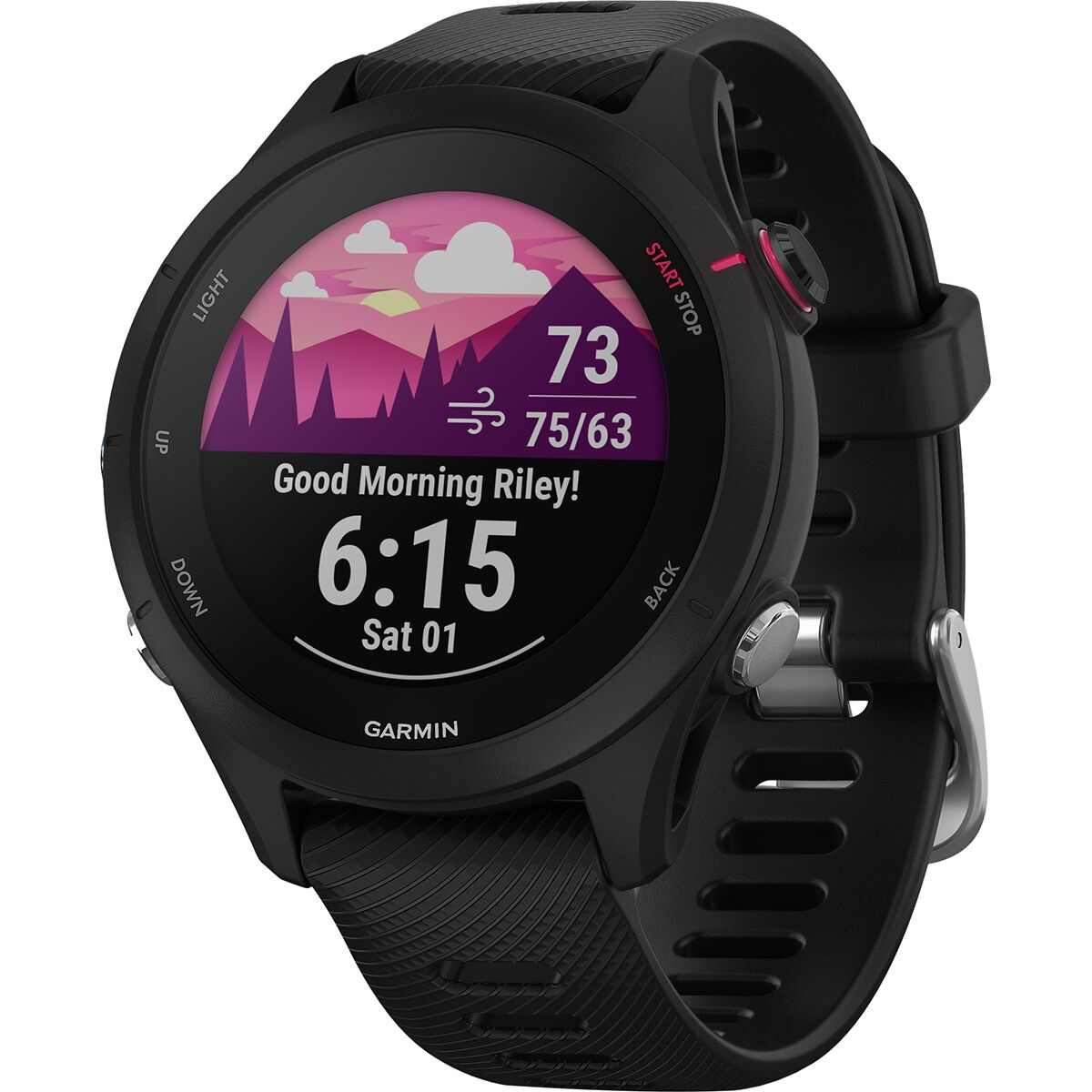 Garmin Forerunner 255S Music - Accessories