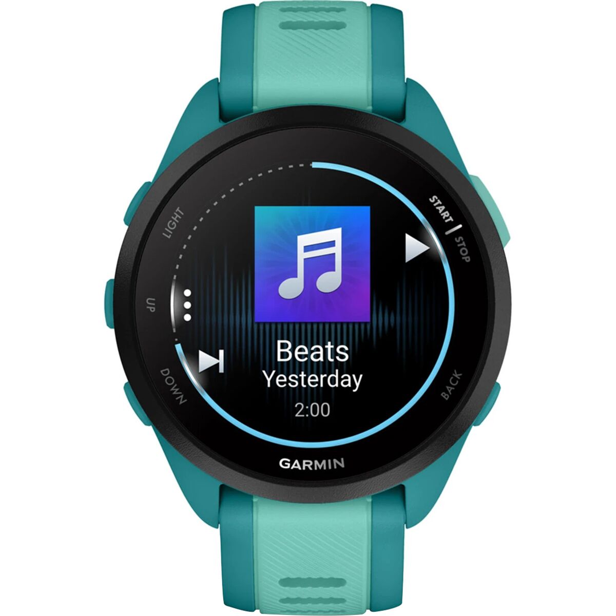 Garmin Forerunner 165 Music Watch - Accessories