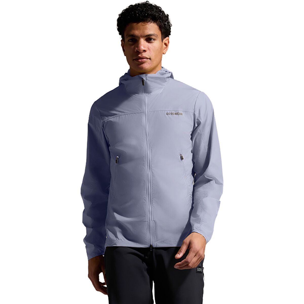 Image of GOREWEAR Fernflow Hooded Windbreaker - Men's Amethyst Grey, XL