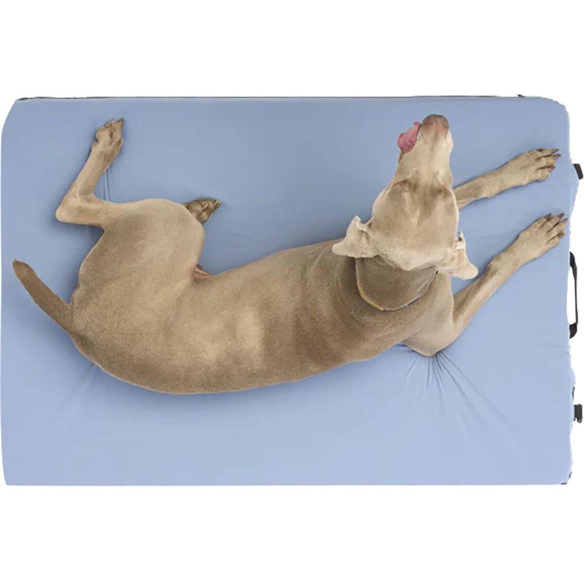 Image of HEST Dog Bed Blue, L