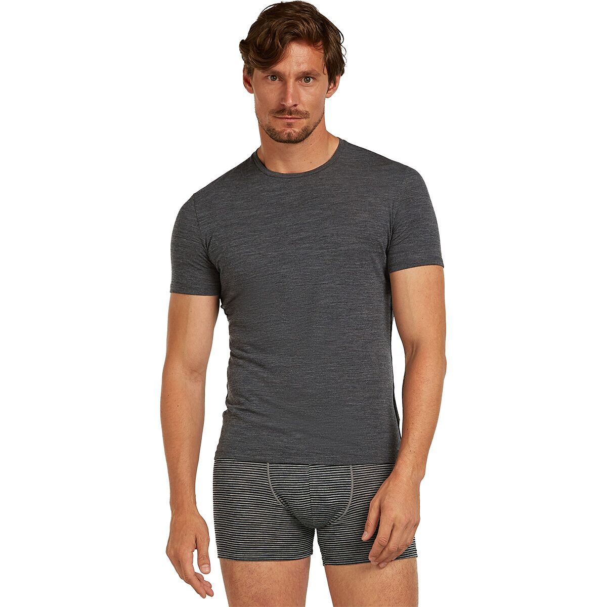 Image of Icebreaker Merino Anatomica 150 Short Sleeve Crewe - Men's Jet Heather2, L