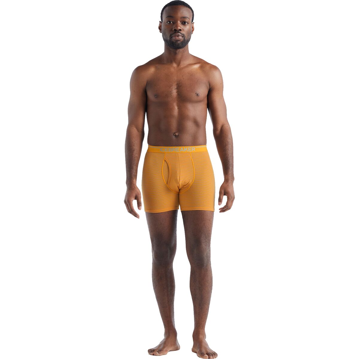 Icebreaker Anatomica Boxer + Fly - Men's - Clothing