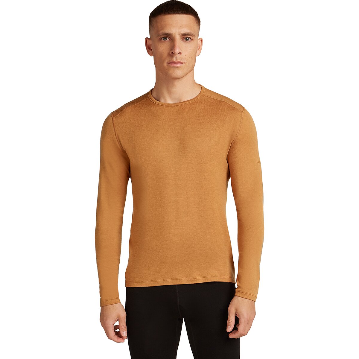 Image of Icebreaker 260 Tech Long-Sleeve Crew Top - Men's Trail, XL