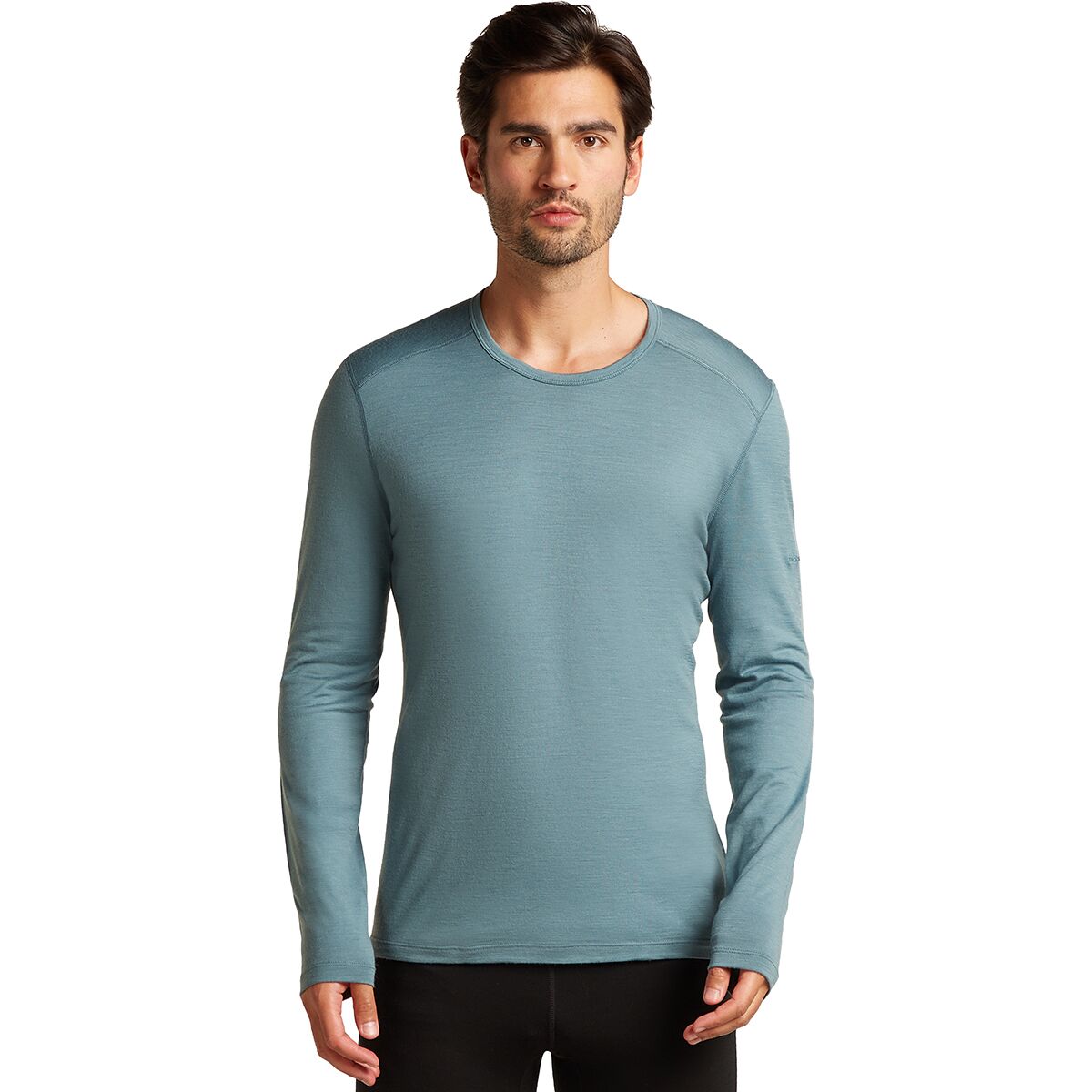 Image of Icebreaker 200 Oasis LS Crew Top - Men's Blue Ash, S
