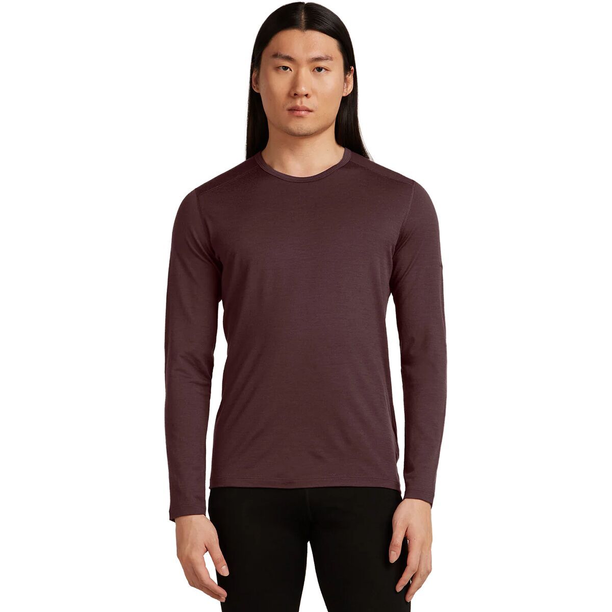 Image of Icebreaker 200 Oasis LS Crew Top - Men's Java, M